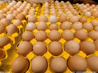 如何判断鸡蛋是否新鲜？如何判断鸡蛋是否变质？