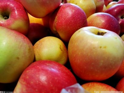 脆苹果和面苹果哪个好？怎么判断苹果脆不脆？|焦点观察