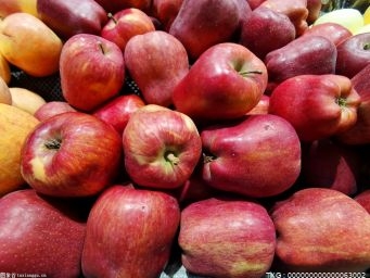 世界四大水果是哪四样？苹果有什么特点？ 世界新视野